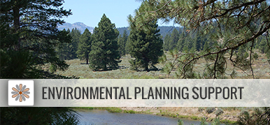Environmental Planning Support